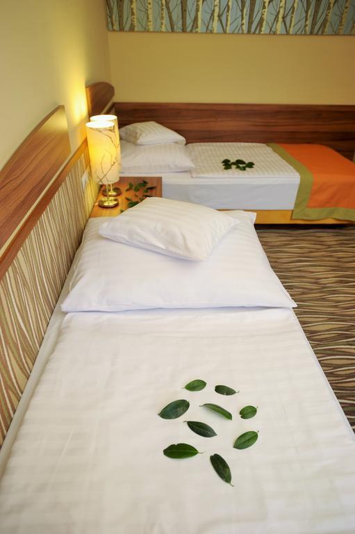 Park Hotel Gyula Bilik gambar